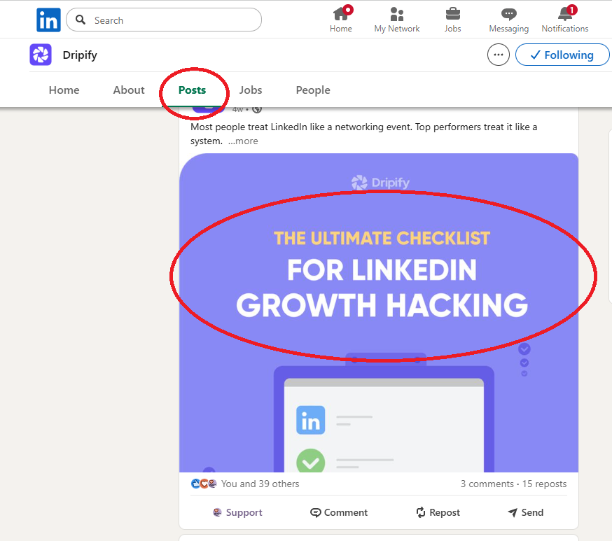 Build the Company Brand Candidates Search For - Posts
