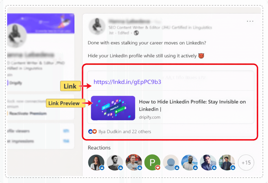 LinkedIn Post inspector: add link to LinkedIn post